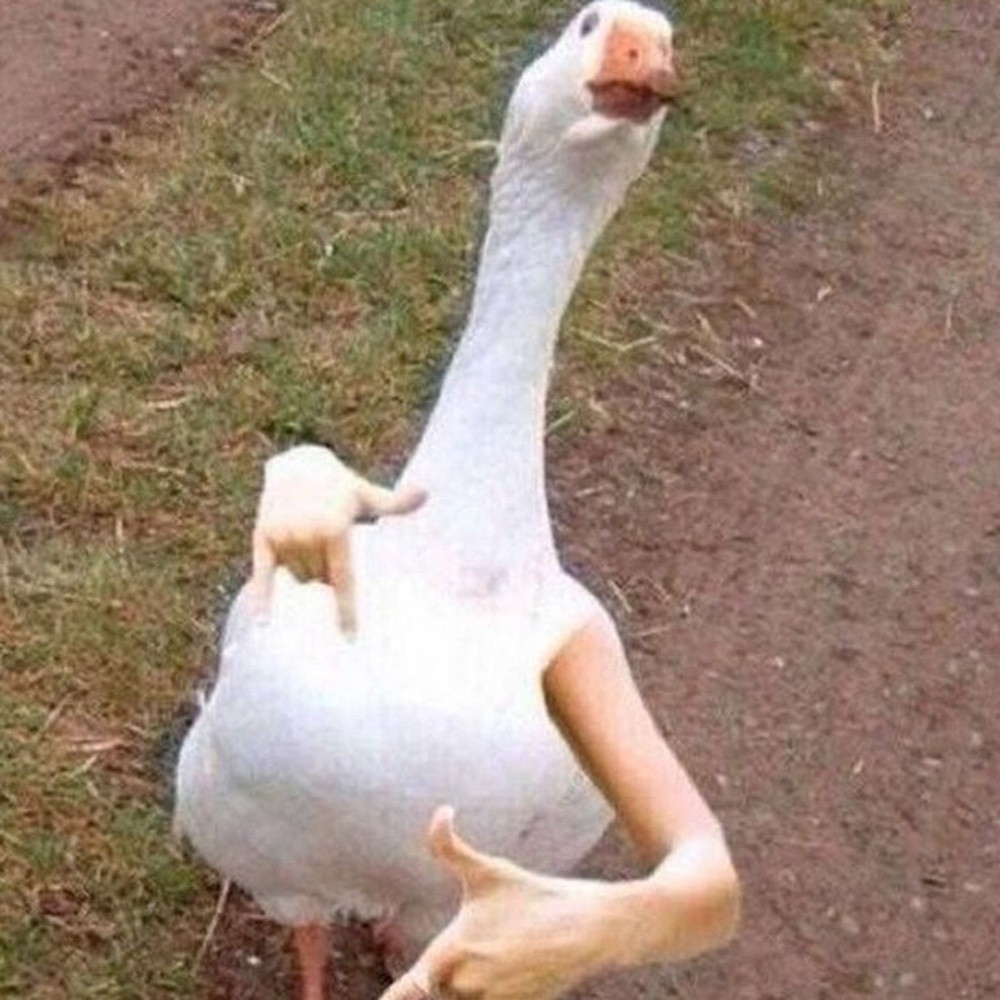 Meet your Posher, Kindred